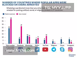 蘑菇vp加速器——畅享无忧管理，实时掌握系统动态，提升运作效率！